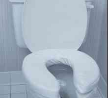 Care sunt dimensiunile bolurilor de toaletă?