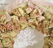 Ce flori sa dai la nunta pentru casatoriti? Buchet de trandafiri albi. Ce flori nu pot fi date unei…