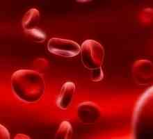 Ce produse diluează sângele?