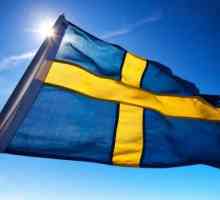 Care sunt cele mai populare nume suedeze?