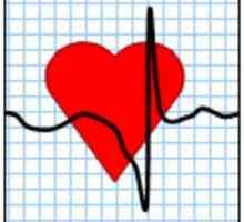 Какое должно быть нормальное сердцебиение и давление