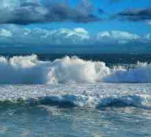 Mai mult - Oceanul Pacific sau Atlanticul? Care este cel mai mare și mai adânc ocean de pe Pământ?
