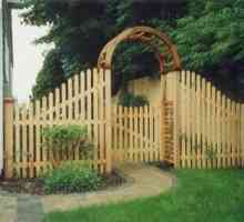 Ce fel de gard decorativ să alegeți pentru o reședință de vară?