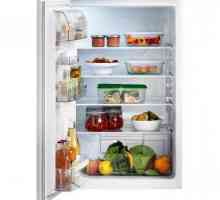Ce ar trebui să fie enigma frigiderului pentru copii