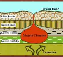 Care este elementul principal care formează crusta pământului?