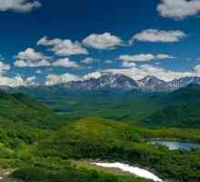 Kamchatka: natura regiunii, flora și fauna, fapte interesante