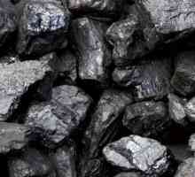 Cărbunelui: formarea depozitelor. Importanța cărbunelui în industrie