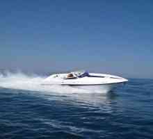 Barci de mare viteză: caracteristicile unui design și ale motorului