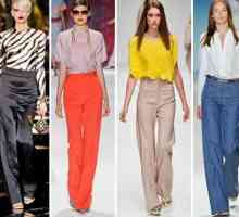 Pantaloni clasici cu talie mare: cu ce sa poarte, o combinatie de haine, recomandari