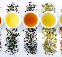 Clasificarea ceaiului prin diferiți parametri. Tipuri, caracteristici și producători de ceai