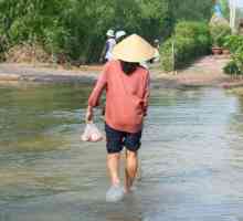 Clima din Vietnam: informații utile pentru turiști