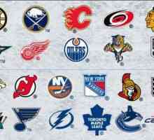 Cluburile NHL: istoria ligii de hochei de peste mări