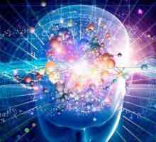 Cunoașterea psihologiei cognitive: reprezentanți și idei principale