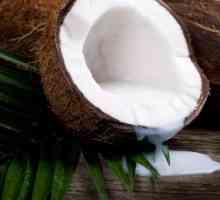 Nucă de cocos este un fruct sau o nuci? Proprietăți utile de nucă de cocos, calorii