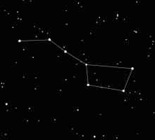 Numărul de stele strălucitoare în galeata Marelui Ursu. Câte stele din constelația Ursa Major