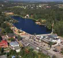 Lacul Koltushskoe este un loc excelent pentru odihnă și pescuit (regiunea Leningrad)