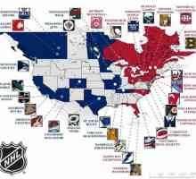 Echipele NHL: clasificare și compoziții