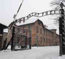 Tabăra de concentrare din Auschwitz. Tabăra de concentrare Auschwitz-Birkenau. Tabere de concentrare