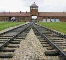 Tabăra de concentrare Auschwitz: experimente pe femei. Josef Mengele. Istoria Auschwitz
