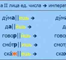 Elemente constructive în limba rusă. Baza cuvântului