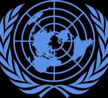 Convenția ONU împotriva corupției: esența, perspectivele