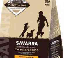 Alimentare `Savars` pentru pisici: compoziție și recenzii