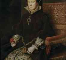 Regina Angliei Maria Bloody: biografie, ani de guvernare