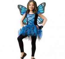 Costumul unui fluture pentru o fată cu mâinile ei nu este deloc dificil!