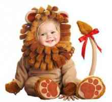 Costumul unui leu pentru un copil nu este greu de făcut de propriile mâini!