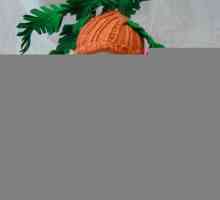 Costum de morcov pentru o fata cu mainile ei (foto)
