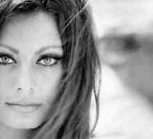 Femei frumoși: Sophia Loren, Ornella Muti, Michel Lombardo și alții. Frumusețe în italiană