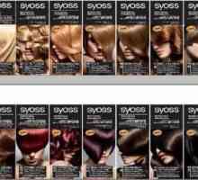 Vopsele pentru păr Syoss: o paletă de culori, o fotografie