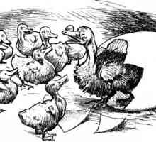 Rezumat: "Ugly Duckling" de G. Kh. Andersen