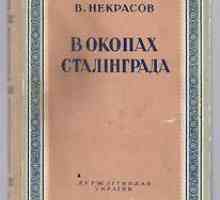 Rezumatul lui Nekrasov "În tranșele din Stalingrad" (romane)