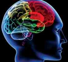 КТ головного мозга: показания и противопоказания