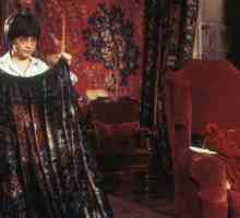 Cine a dat lui Harry Potter manta de invizibilitate: proprietățile obiectului și alte artefacte…