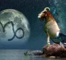 Cine sa născut pe 20 ianuarie: semnul zodiacului Vărsător sau Capricorn?