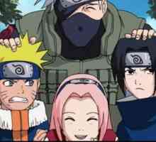 Cine este mai puternic - Naruto sau Sasuke? Lupta cu Naruto și Sasuke