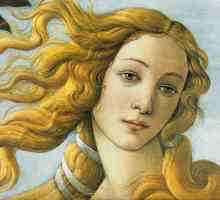 Cine este Afrodita? Veche zeita grecească de dragoste și frumusețe