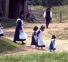 Cine sunt Amish? Avantajele unei noi rase din trecut?