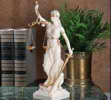 Cine sunt avocați și care sunt profesiile juridice în acest moment