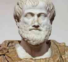 Cine este Aristotel? Ce este celebru, biografie, contribuție la știință