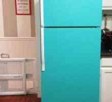 În cazul în care să închirieze un frigider vechi pentru bani? Posibile opțiuni