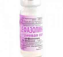 Medicamentul "Cefazolin". Instrucțiuni de utilizare. Nyxes: caracteristici ale…