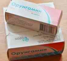 Medicamentul Orungamin. Instrucțiuni de utilizare