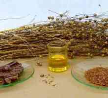 Ulei de semințe de in. Proprietăți utile și contraindicații ale produsului vegetal
