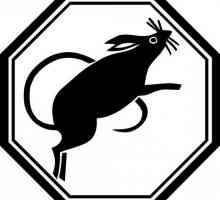 Cal și șobolan: compatibilitate pe horoscopul estic