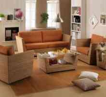 Cele mai bune materiale de mobilier: prezentare generală, tipuri, caracteristici și recenzii