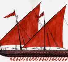 Marii marinari ai Evului Mediu timpuriu. Vasele din Evul Mediu