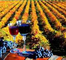 Cele mai bune vinuri din regiunea Krasnodar: recenzie, evaluare, compoziție, tipuri și recenzii